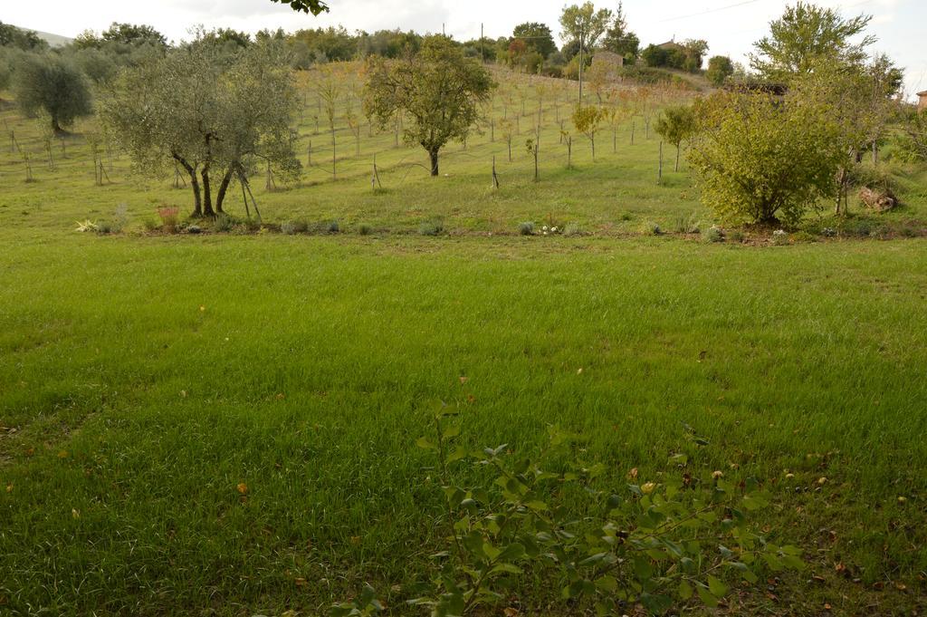 Agriturismo Riparossa Allerona Exterior photo