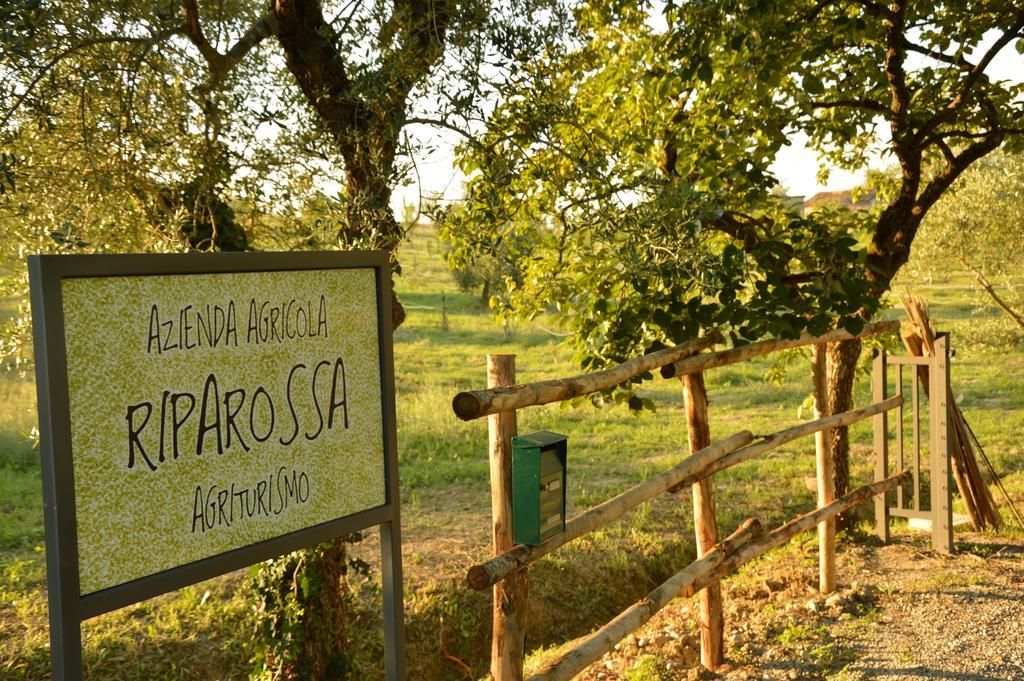 Agriturismo Riparossa Allerona Exterior photo