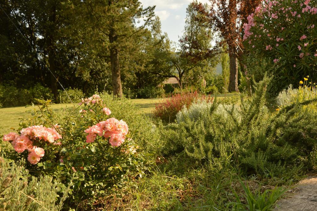 Agriturismo Riparossa Allerona Exterior photo