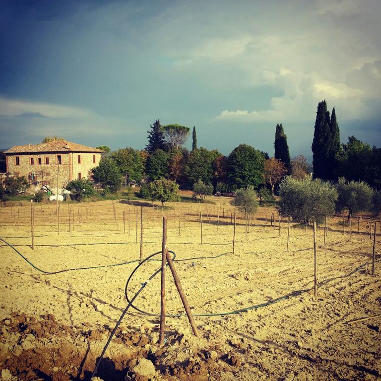Agriturismo Riparossa Allerona Exterior photo