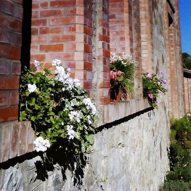 Agriturismo Riparossa Allerona Exterior photo
